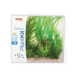 Piante sintetiche Plantkit Jalaya n°1 - 6 piante