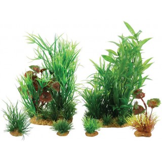 Piante sintetiche Plantkit Jalaya n°2 - 6 piante