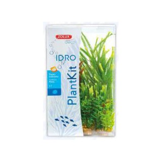Piante sintetiche Plantkit Idro n°4 - 7 piante