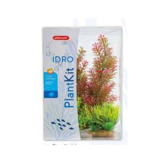 Piante sintetiche Plantkit Idro n°1 - 7 piante